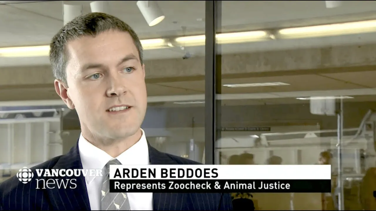 Arden Beddoes - Lawyer in Vancouver, British Columbia - Clearway Law