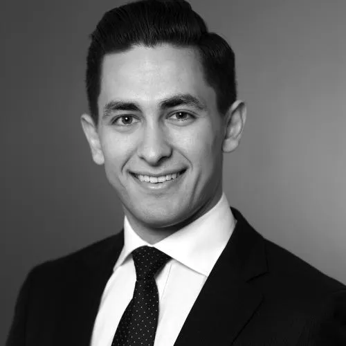 Aleksandr Yuryevich Gridasov - Lawyer in London, England - Clearway Law