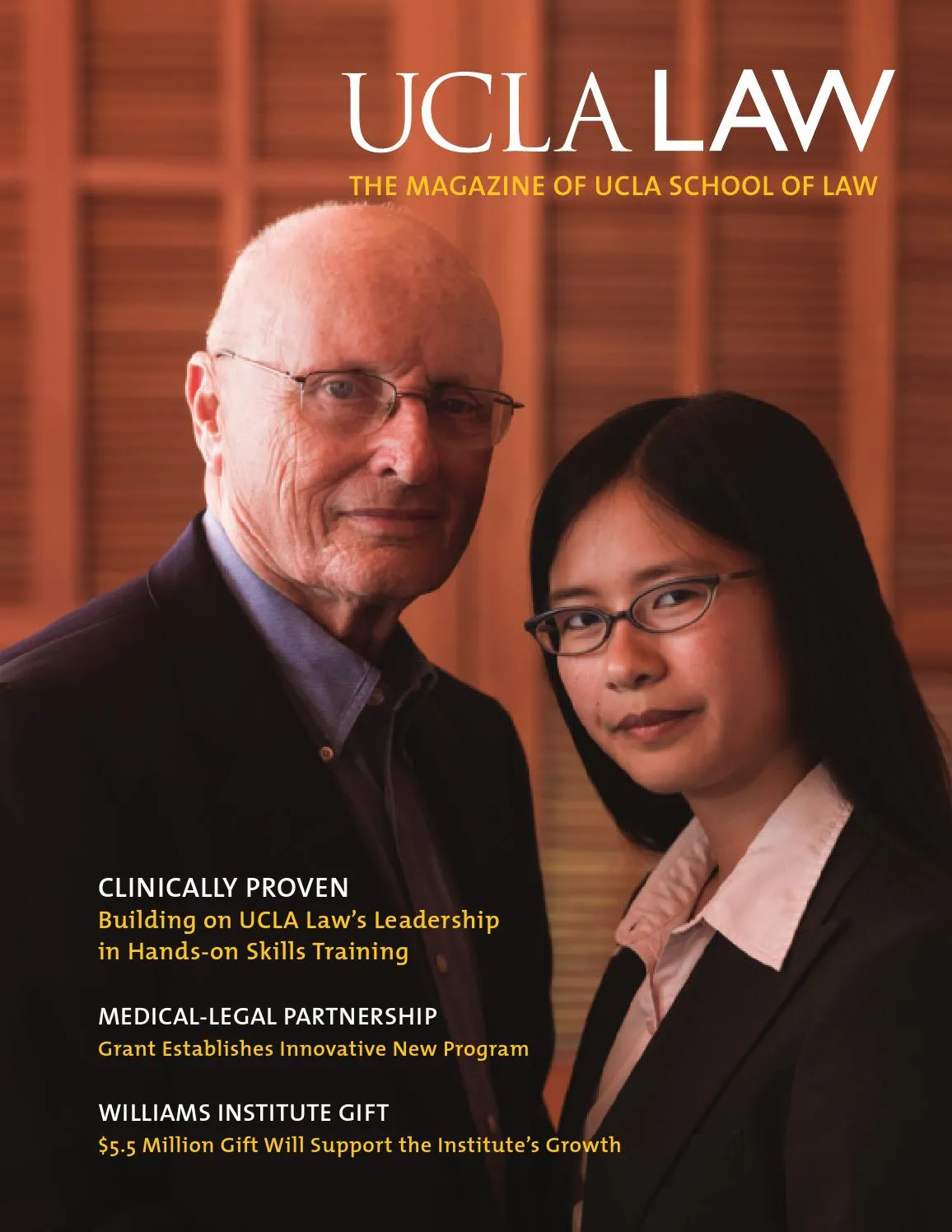 Darryl Eric Rodrigues - Lawyer in London, Greater London - Clearway Law