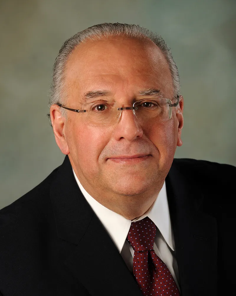 Steven Blau - Lawyer in New York, New York - Clearway Law