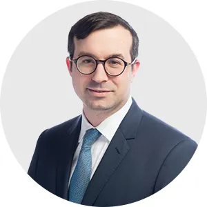 David Feintuch - Lawyer in Toronto, Ontario - Clearway Law
