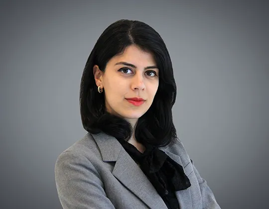 Anna Alizadeh - Lawyer in Toronto, Ontario - Clearway Law